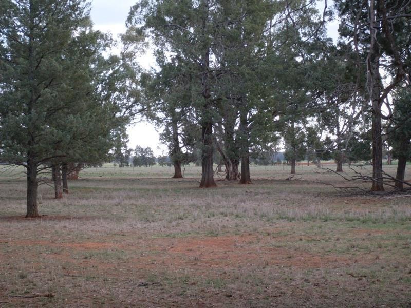 549 Welcome Road, Parkes NSW 2870