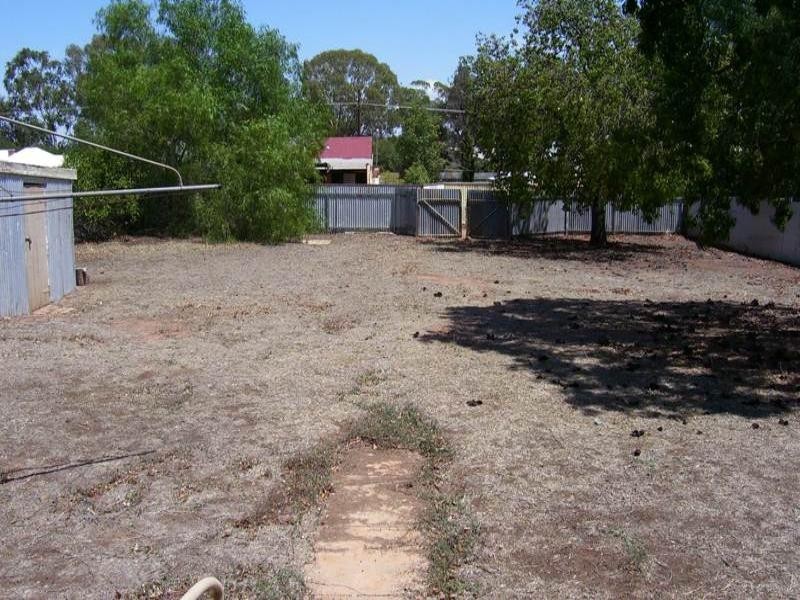 114 Euchie Street, Peak Hill NSW 2869