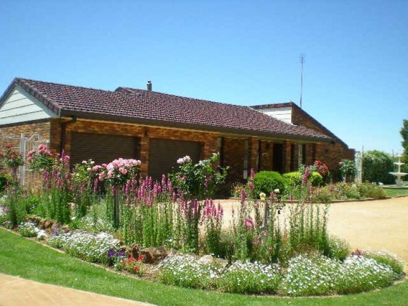 Four Winds Bogan Road, Goonumbla NSW 2870