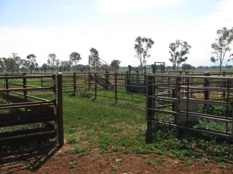 Four Winds Bogan Road, Goonumbla NSW 2870