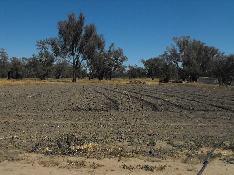 . Murrin Street, Euabalong NSW 2877