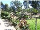 0 Cooka Hills Road, Cookamidgera NSW 2870