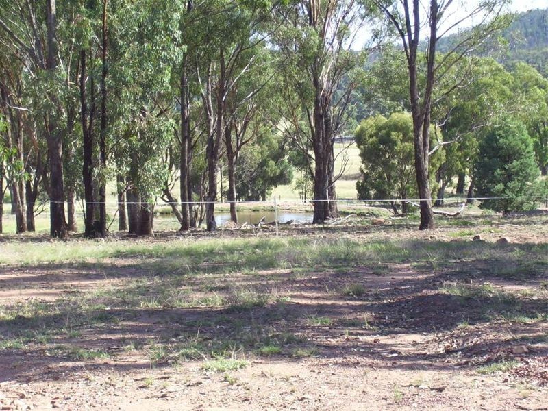 0 Cooka Hills Road, Cookamidgera NSW 2870