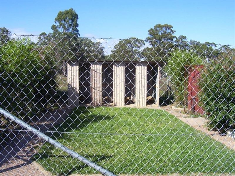 0 Cooka Hills Road, Cookamidgera NSW 2870