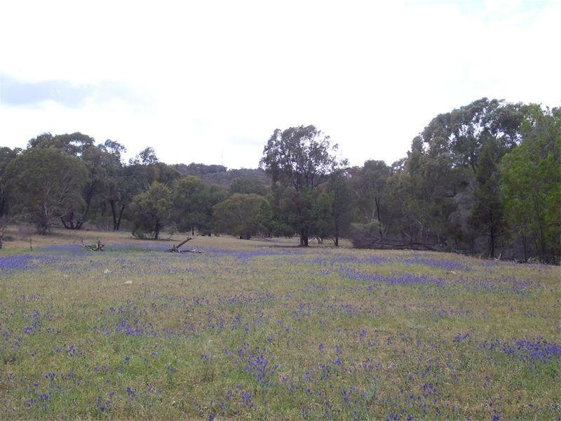 0 Cookamidgera Road, Cookamidgera NSW 2870