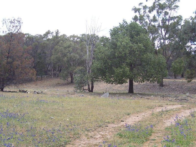 0 Cookamidgera Road, Cookamidgera NSW 2870