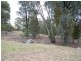 0 Cookamidgera Road, Cookamidgera NSW 2870