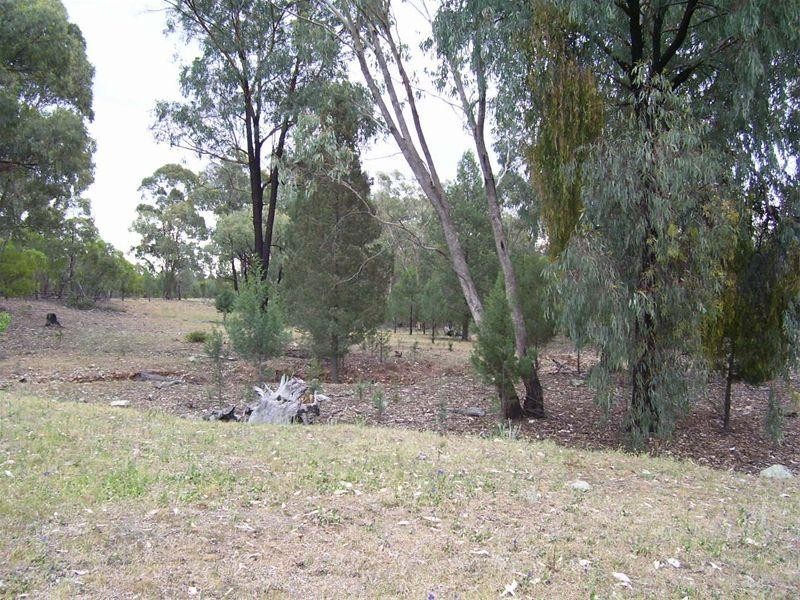 0 Cookamidgera Road, Cookamidgera NSW 2870