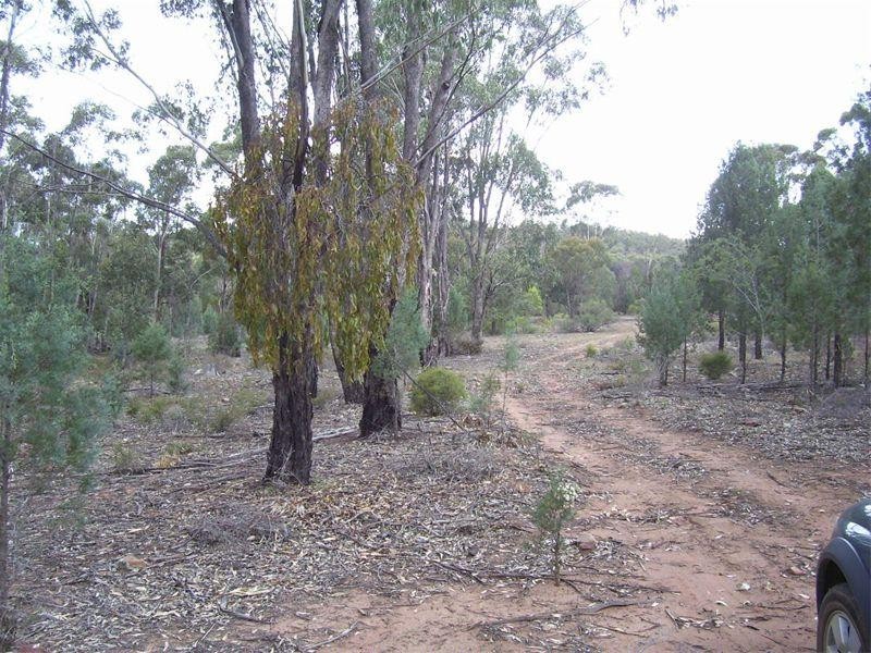 0 Cookamidgera Road, Cookamidgera NSW 2870