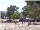 2 Sharlee, Parkes NSW 2870