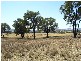 2 Sharlee, Parkes NSW 2870