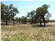 2 Sharlee, Parkes NSW 2870