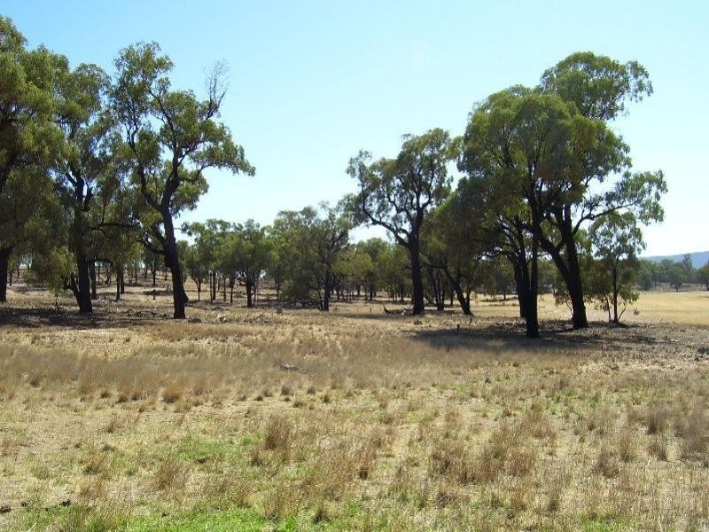 2 Sharlee, Parkes NSW 2870