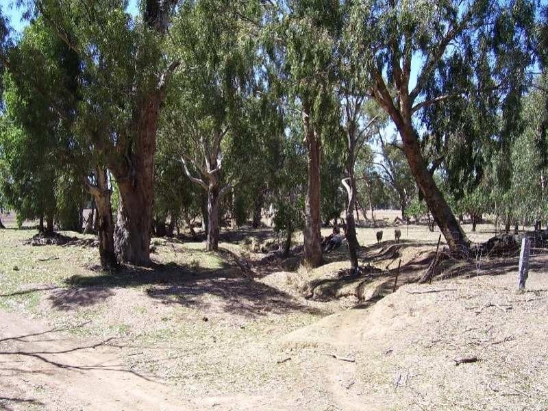 2 Sharlee, Parkes NSW 2870