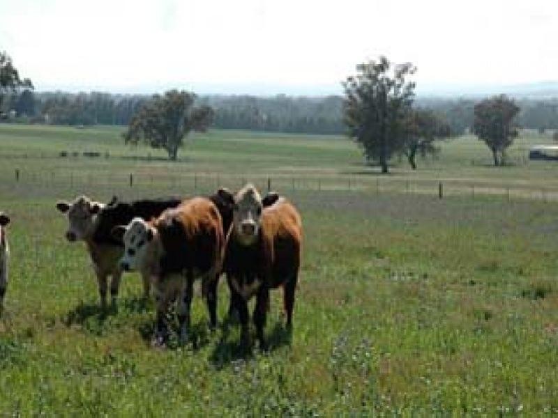 Lot 274 Aitken Lane, Parkes NSW 2870