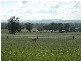 Lot 274 Aitken Lane, Parkes NSW 2870