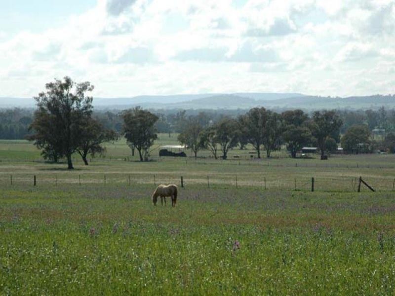 Lot 274 Aitken Lane, Parkes NSW 2870
