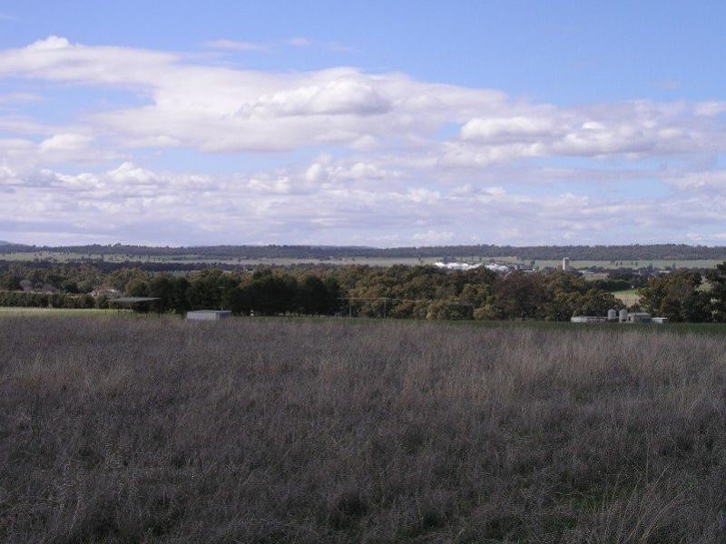 Lot 274 Aitken Lane, Parkes NSW 2870