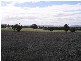 Lot 274 Aitken Lane, Parkes NSW 2870