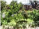 1 Hedgerow Avenue, Parkes NSW 2870