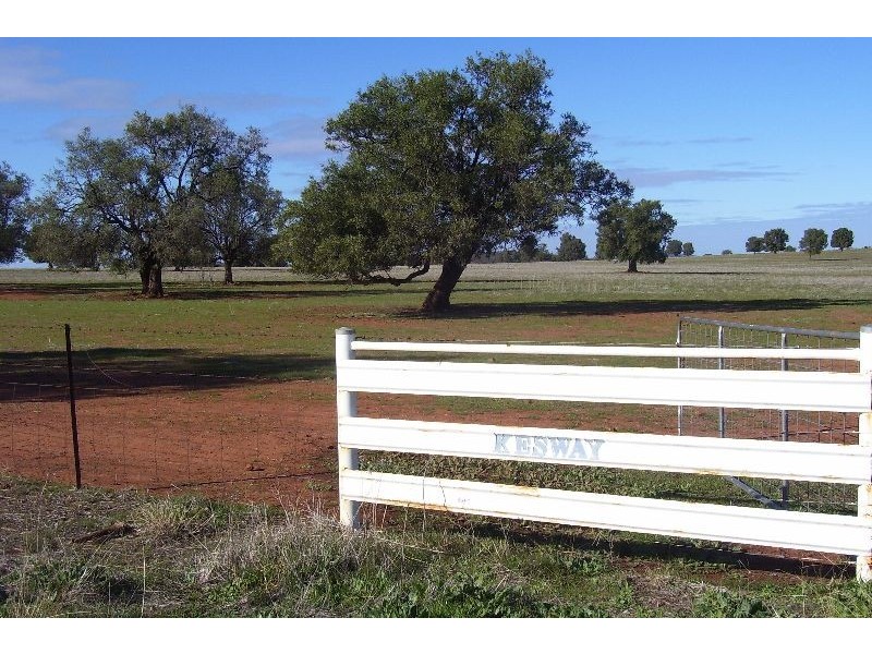 Kesway Botfield Road, Bogan Gate NSW 2876