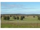 Kesway Botfield Road, Bogan Gate NSW 2876
