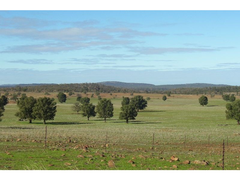 Kesway Botfield Road, Bogan Gate NSW 2876