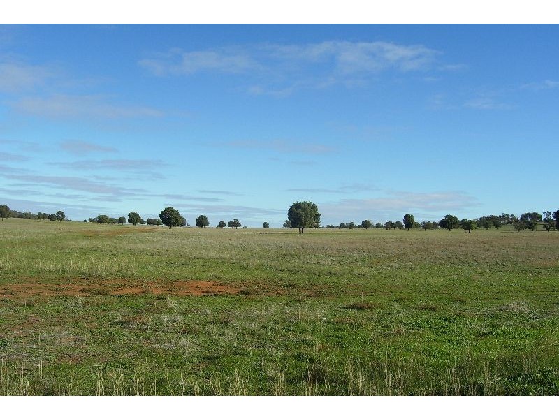 Kesway Botfield Road, Bogan Gate NSW 2876