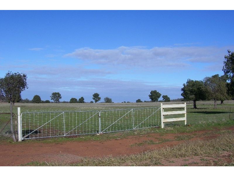 Kesway Botfield Road, Bogan Gate NSW 2876
