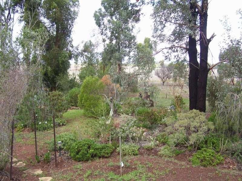 258 Cons Lane, Parkes NSW 2870