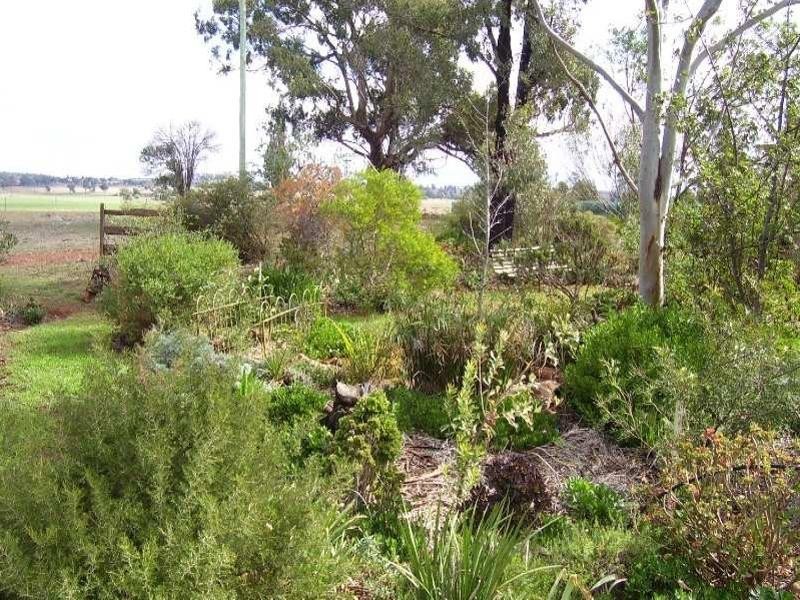 258 Cons Lane, Parkes NSW 2870