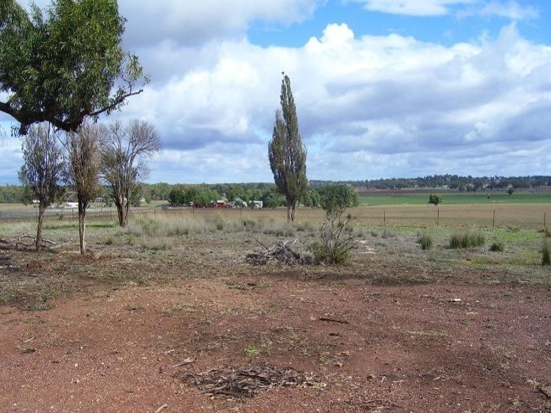 258 Cons Lane, Parkes NSW 2870