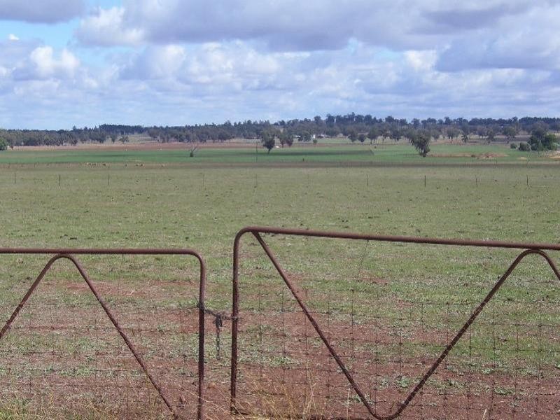 258 Cons Lane, Parkes NSW 2870