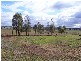 258 Cons Lane, Parkes NSW 2870