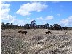 Parkes NSW 2870