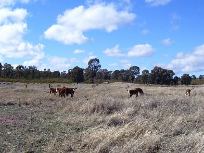 Parkes NSW 2870
