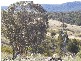 Parkes NSW 2870