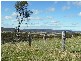 Parkes NSW 2870