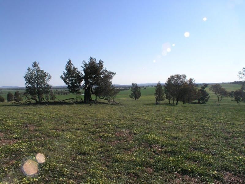 Parkes NSW 2870