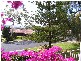 50 Lorking Street, Parkes NSW 2870