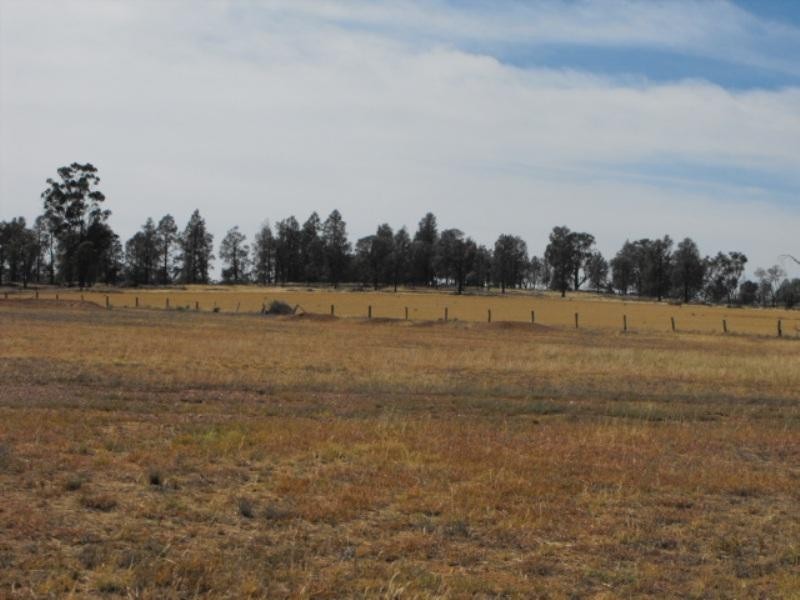 159 Deep Lead Road, Parkes NSW 2870