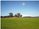 0 Lambert Springs Road, Cookamidgera NSW 2870