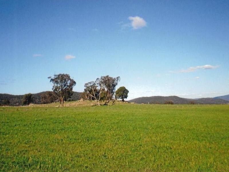 0 Lambert Springs Road, Cookamidgera NSW 2870