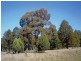 0 Lambert Springs Road, Cookamidgera NSW 2870