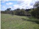 0 Lambert Springs Road, Cookamidgera NSW 2870