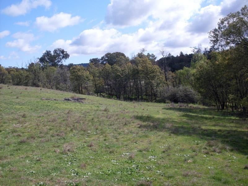0 Lambert Springs Road, Cookamidgera NSW 2870