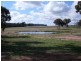 0 Lambert Springs Road, Cookamidgera NSW 2870