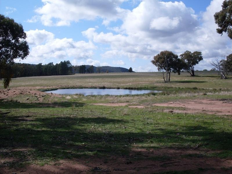 0 Lambert Springs Road, Cookamidgera NSW 2870