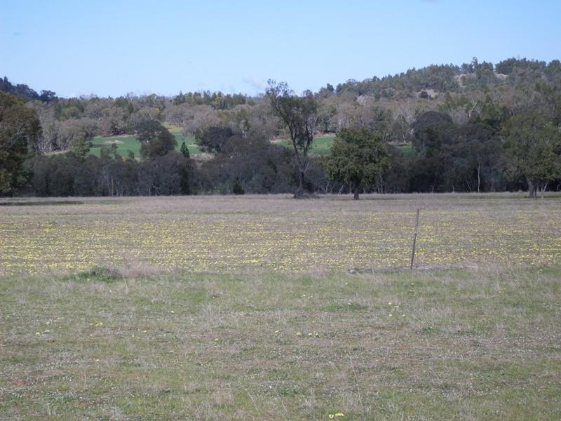 0 Lambert Springs Road, Cookamidgera NSW 2870