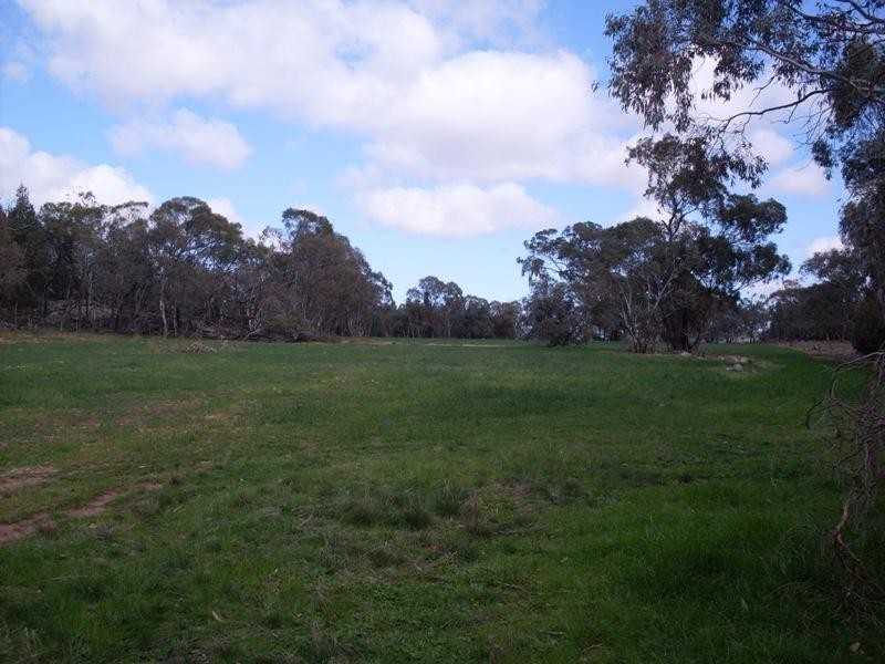 0 Lambert Springs Road, Cookamidgera NSW 2870